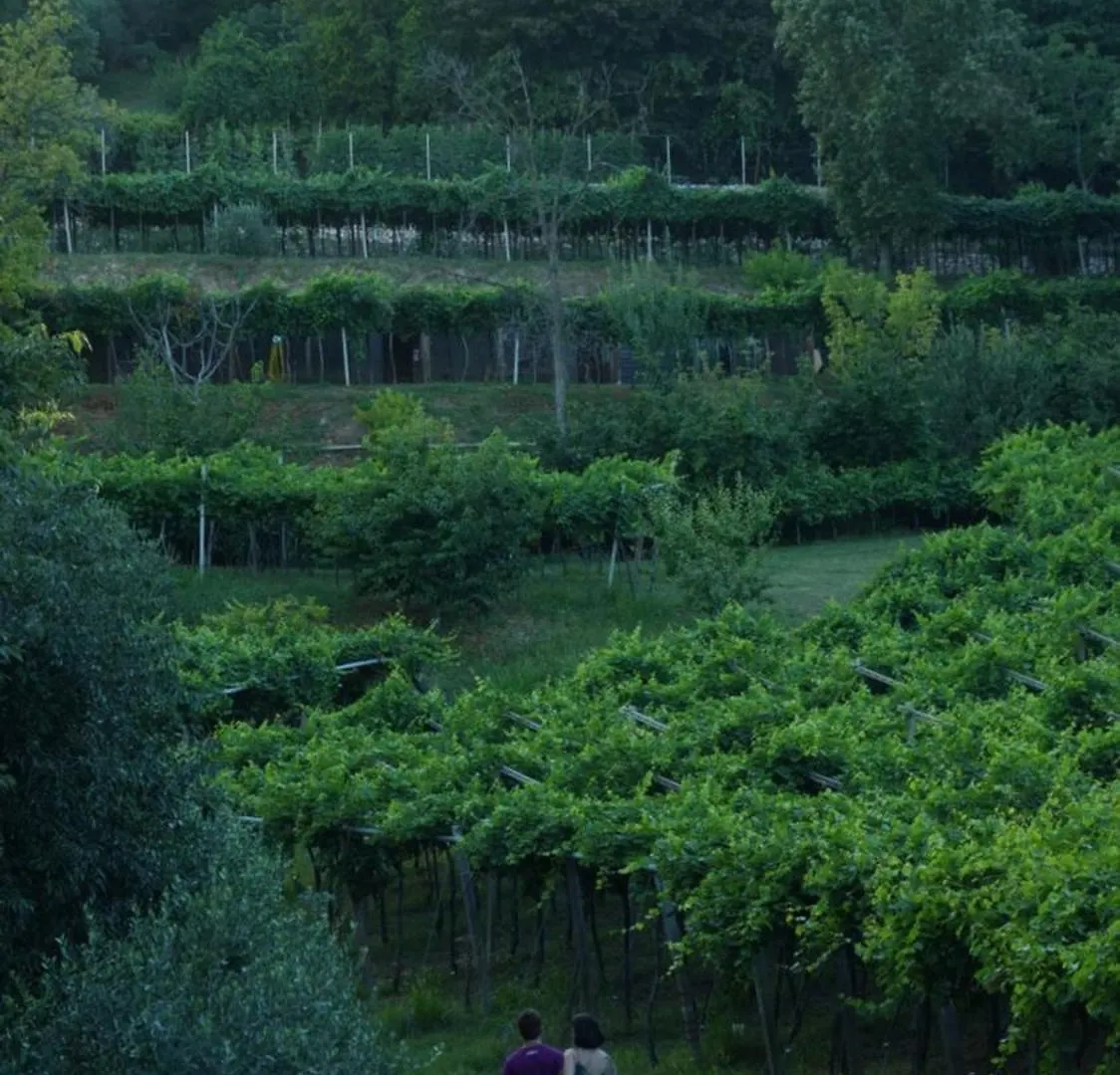 Agriturismo Ai Dossi فيرونا 0*,  إيطاليا