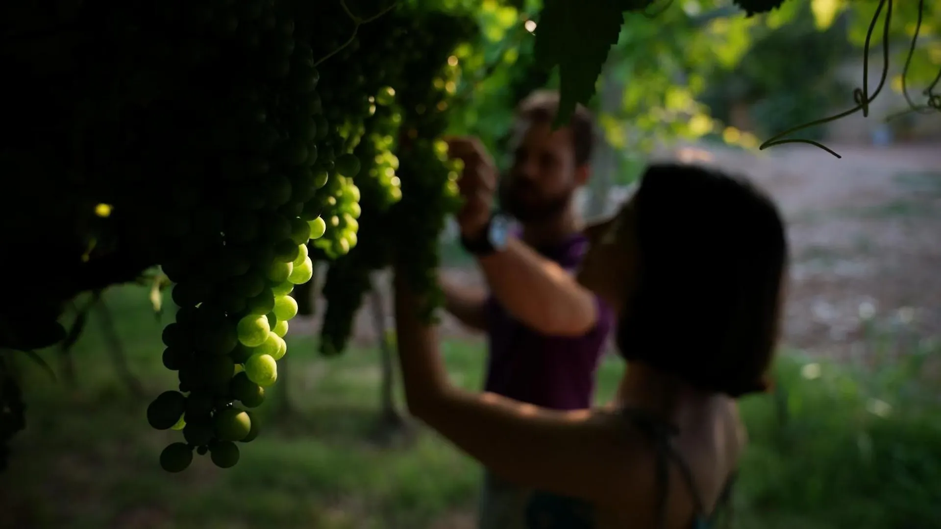 Agriturismo Ai Dossi Βερόνα Ιταλία