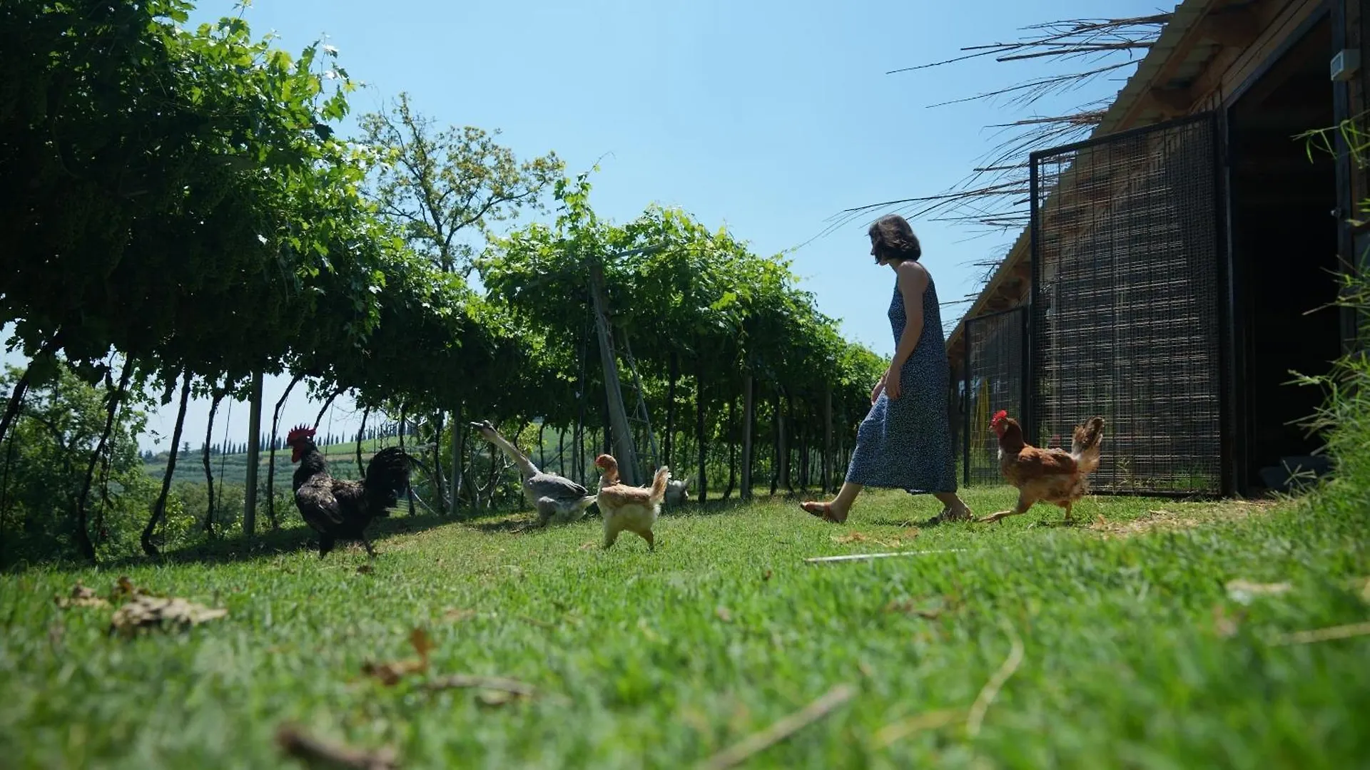 Agriturismo Ai Dossi فيرونا مزرعة للإقامة