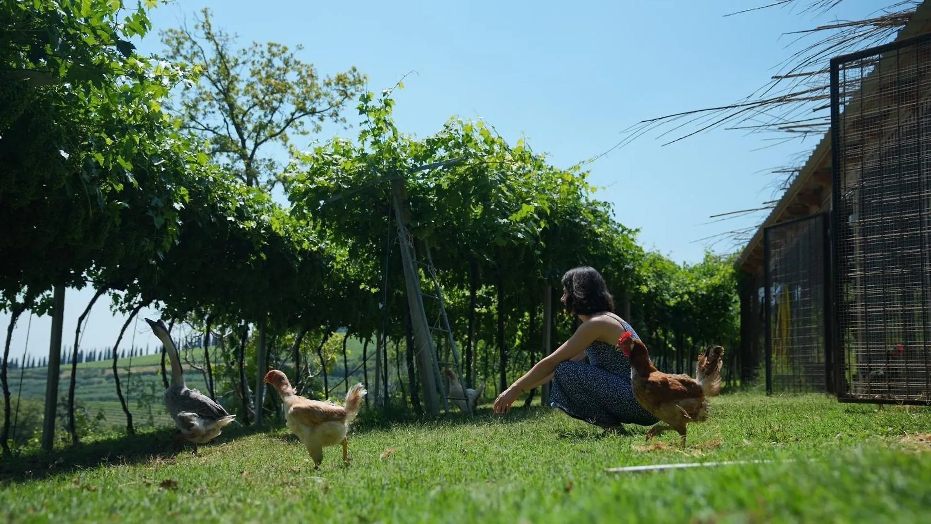 Agriturismo Ai Dossi فيرونا 0*,