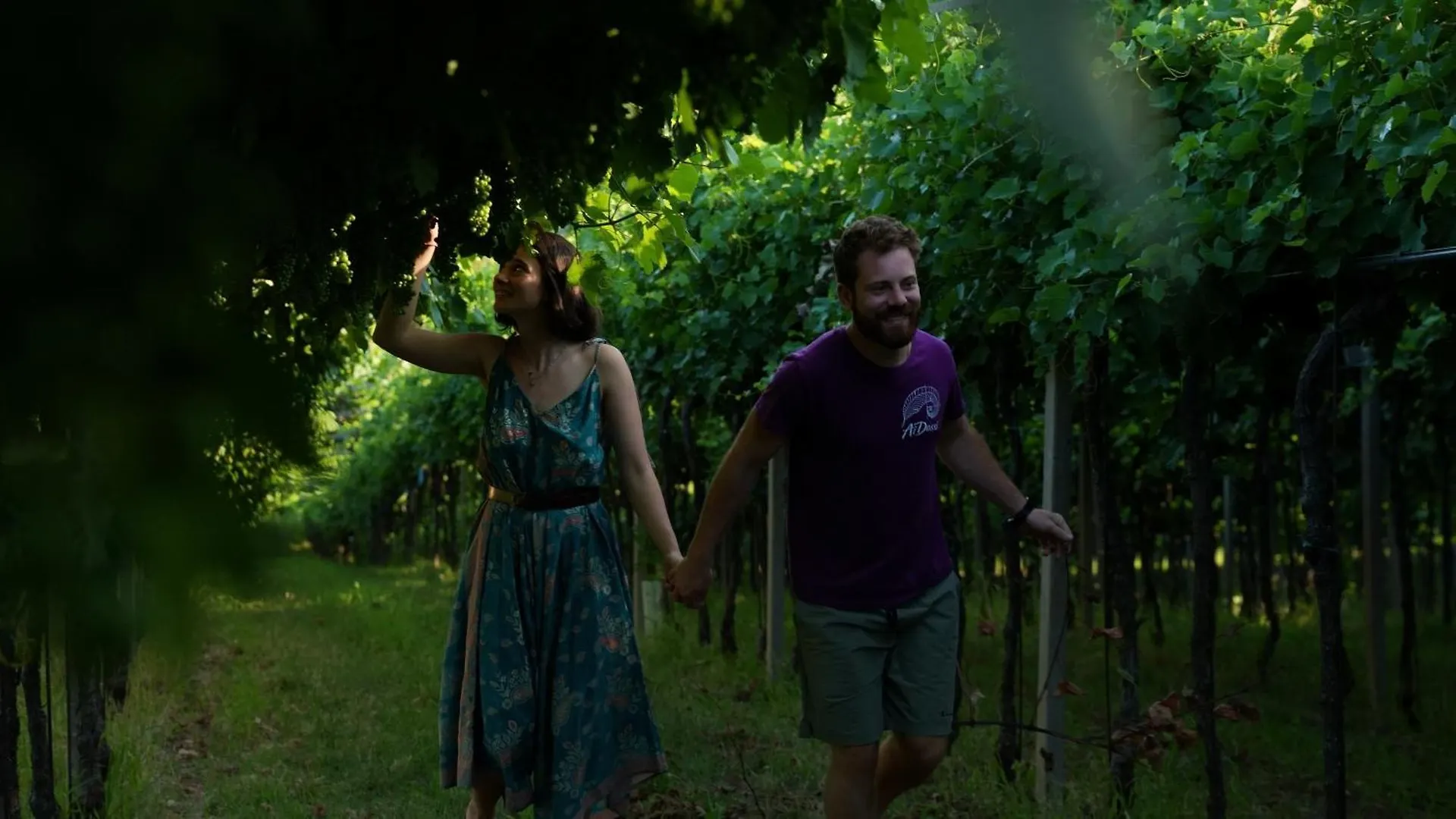 Agriturismo Ai Dossi Verona Italië